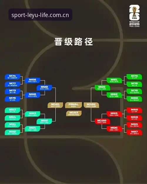 乐鱼怎么样安全吗 欧冠决赛与世界杯备战:梅里诺康复状态完整指南